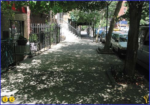 Shade-dappled sidewalk