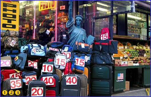 Statue of Liberty and bargain luggage